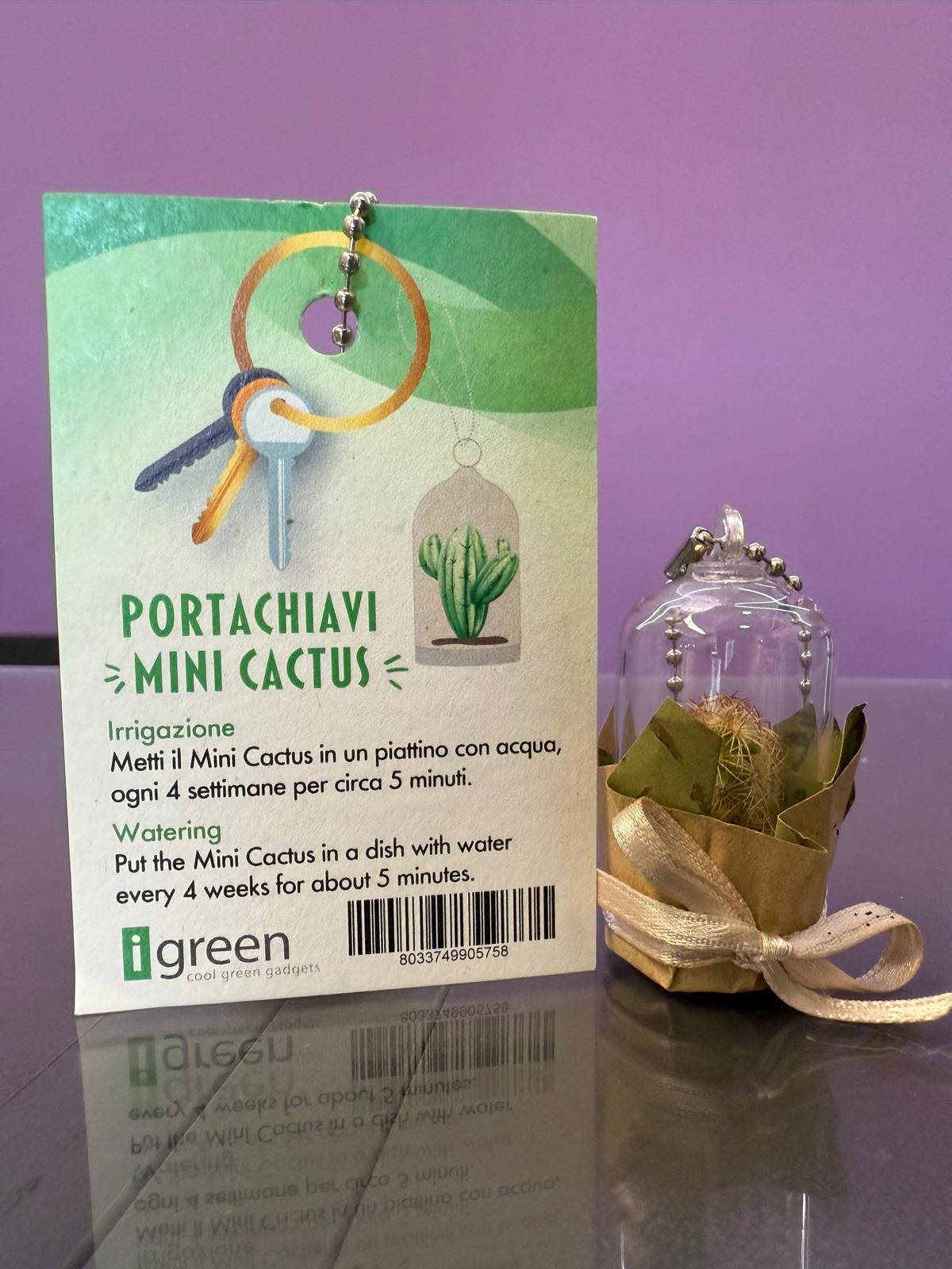 Porta chiavi "Mini Cactus"